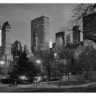 Twilight in Central Park .V.