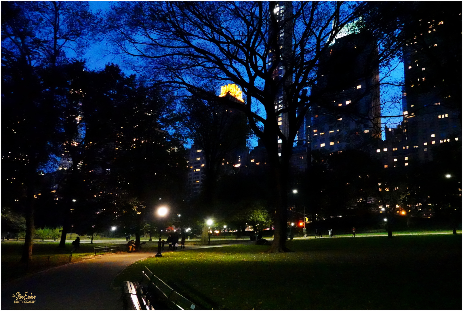 Twilight of a November Evening in Central Park
