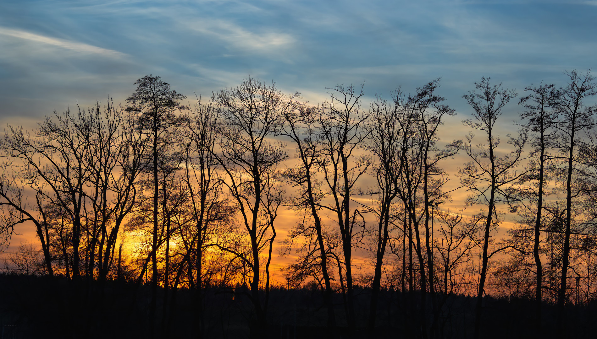 Twilight Silhouettes The Dance of Bare Branches