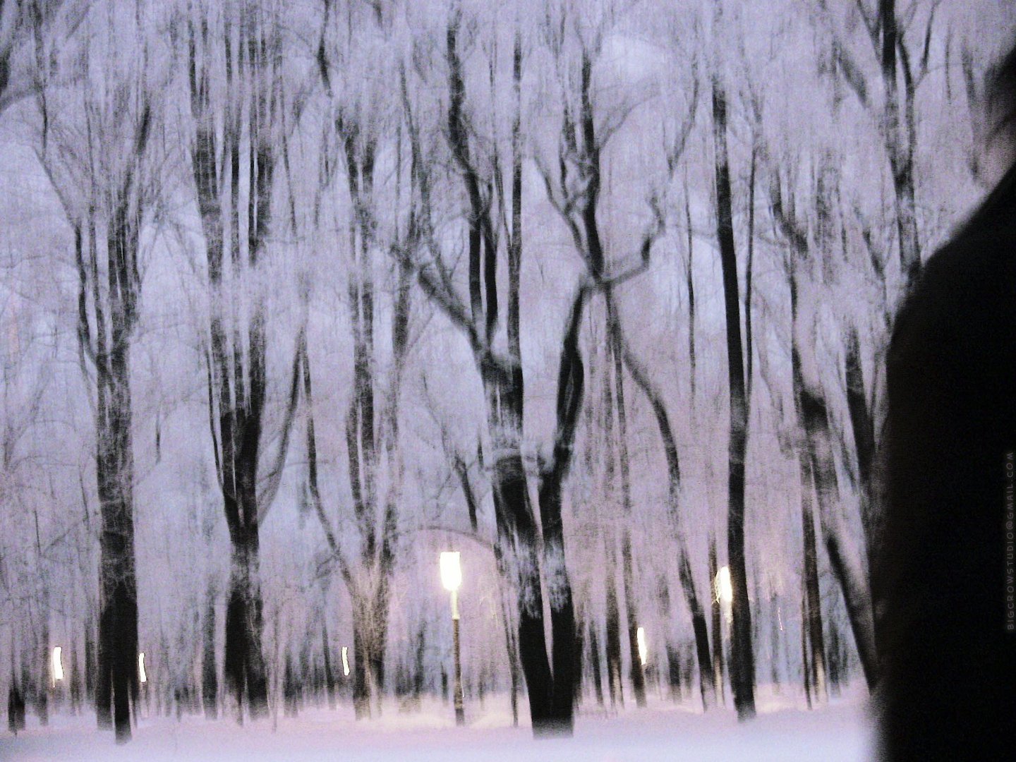 Twilights of the Mikhaylovsky garden