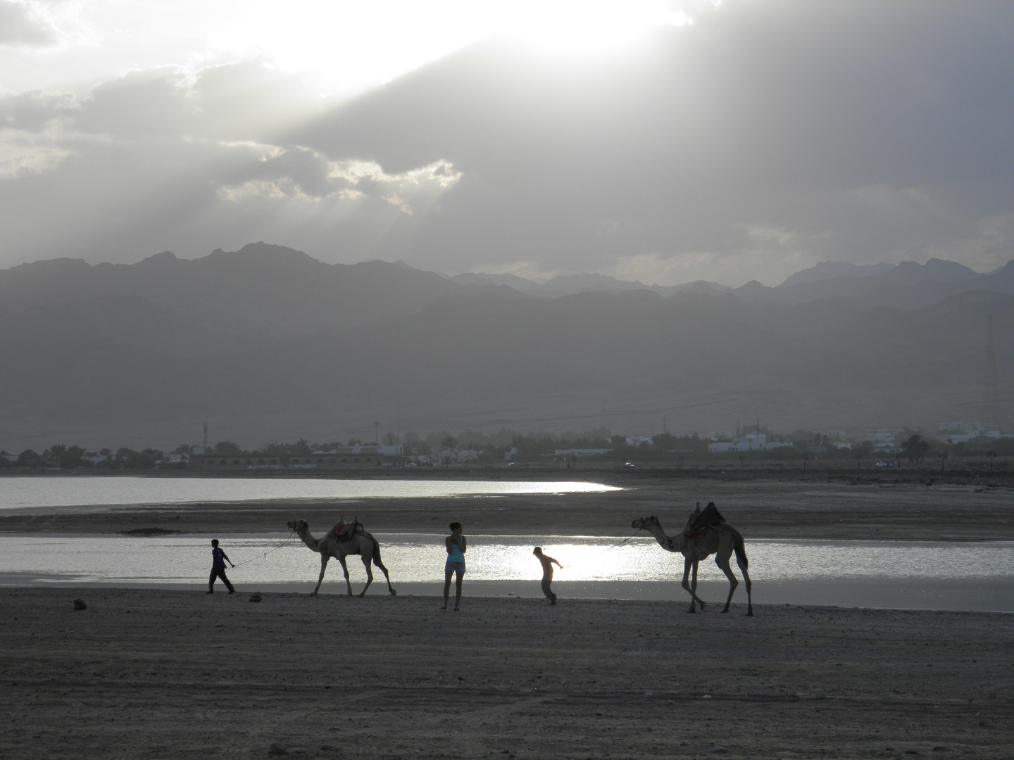 Twilighttime in Sinai