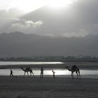 Twilighttime in Sinai