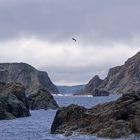  Twillingate Coastline