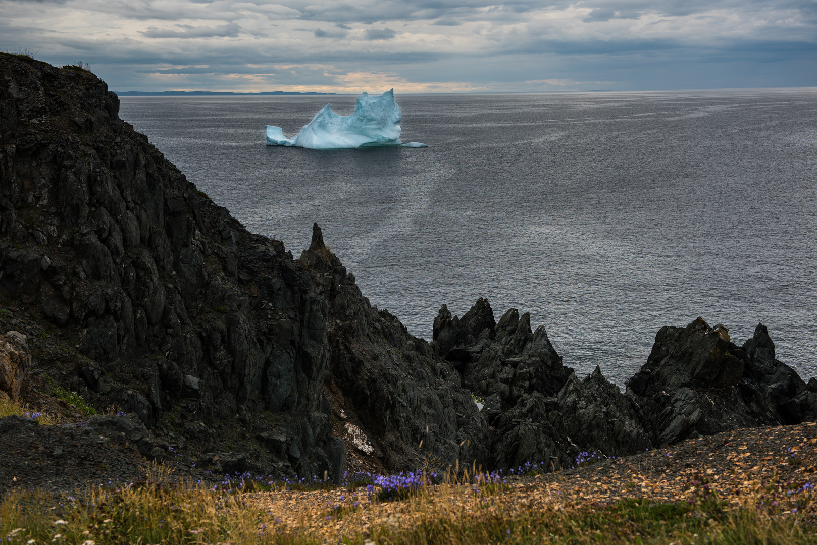 Twillingate , Eisberg vor dem Dorf.                  DSC_3444