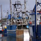  Twillingate Harbour