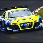 Twin Busch Audi R8