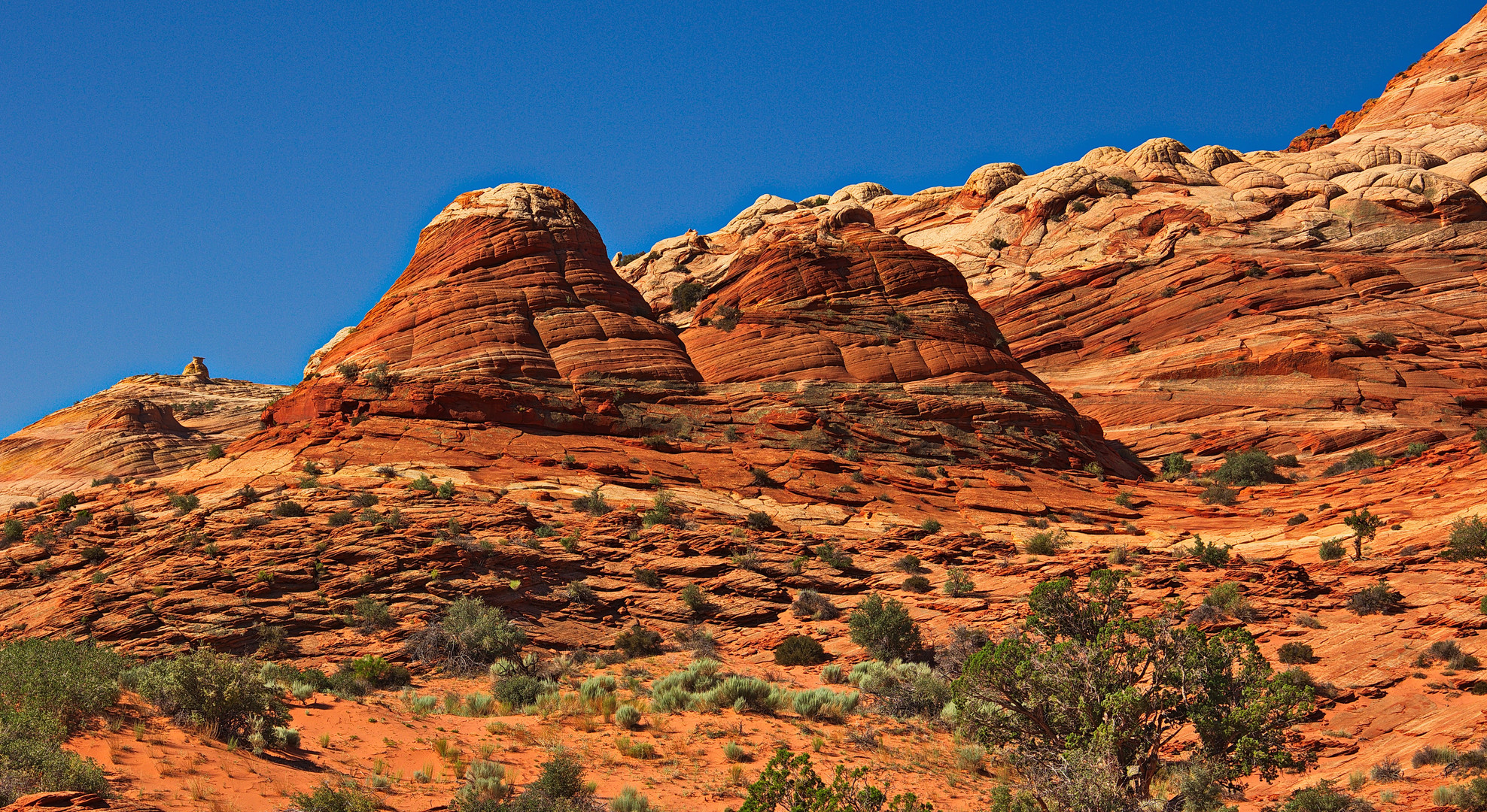 Twin Buttes