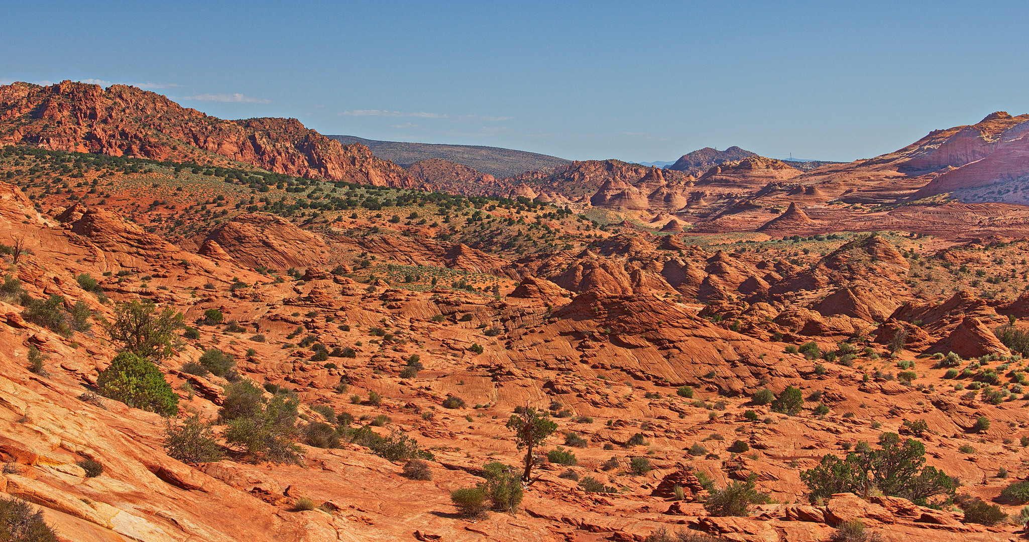 Twin Buttes View