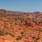 Twin Buttes View