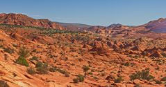 Twin Buttes View