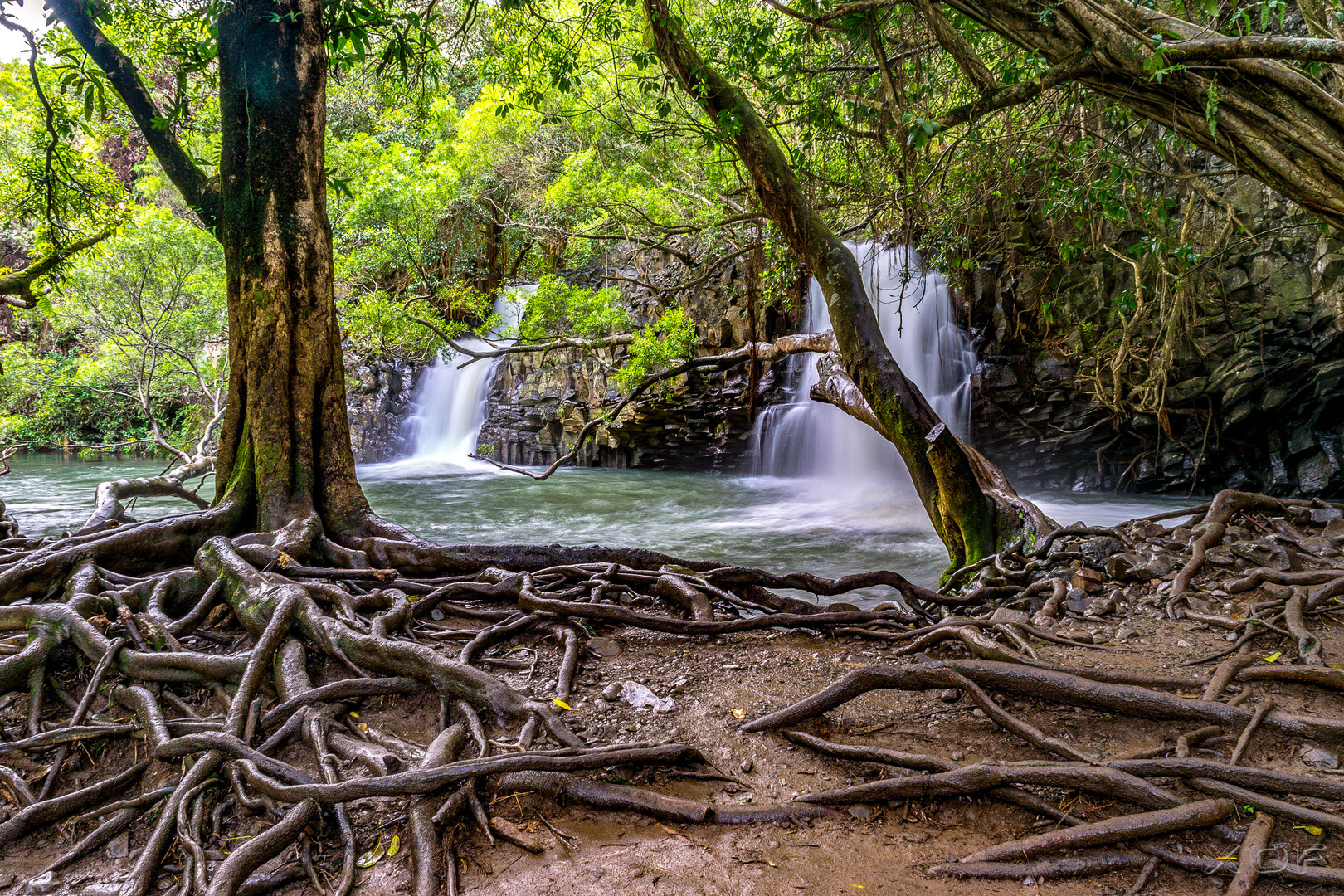 Twin Falls Maui Waterfall