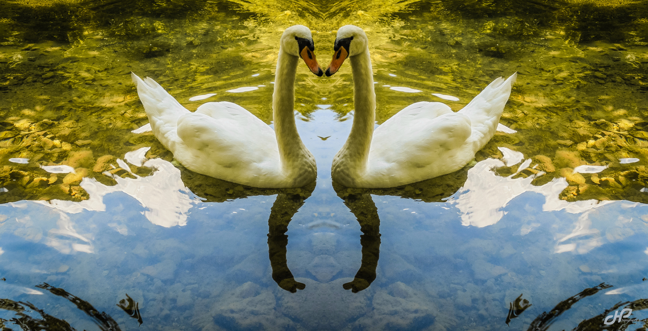 Twin Swans