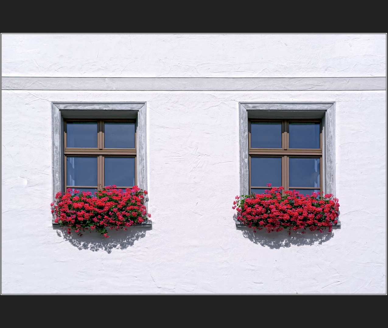 > Twin Window 