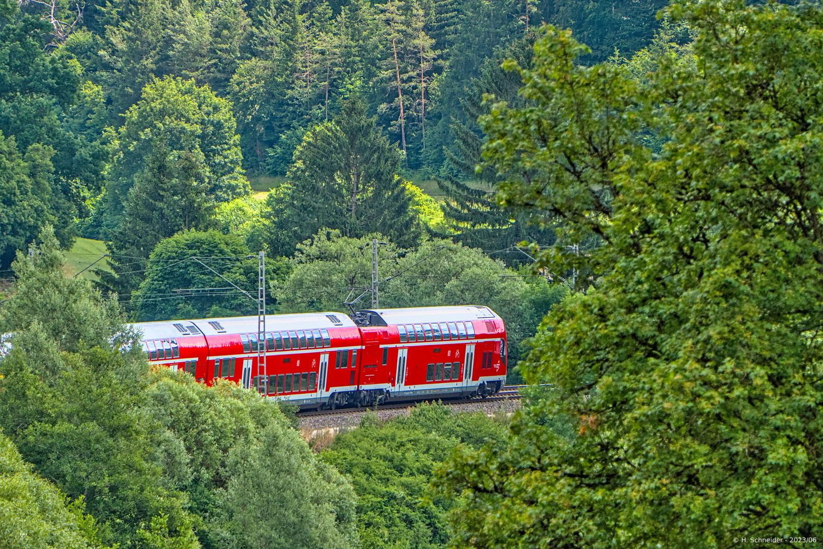 Twindexx im Grünen