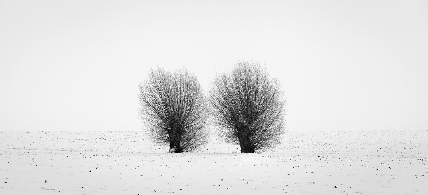 TWINS [03|BW]