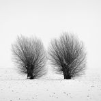 TWINS [03|BW]