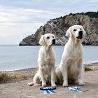 Twins am Strand