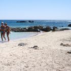 Twins by the sea