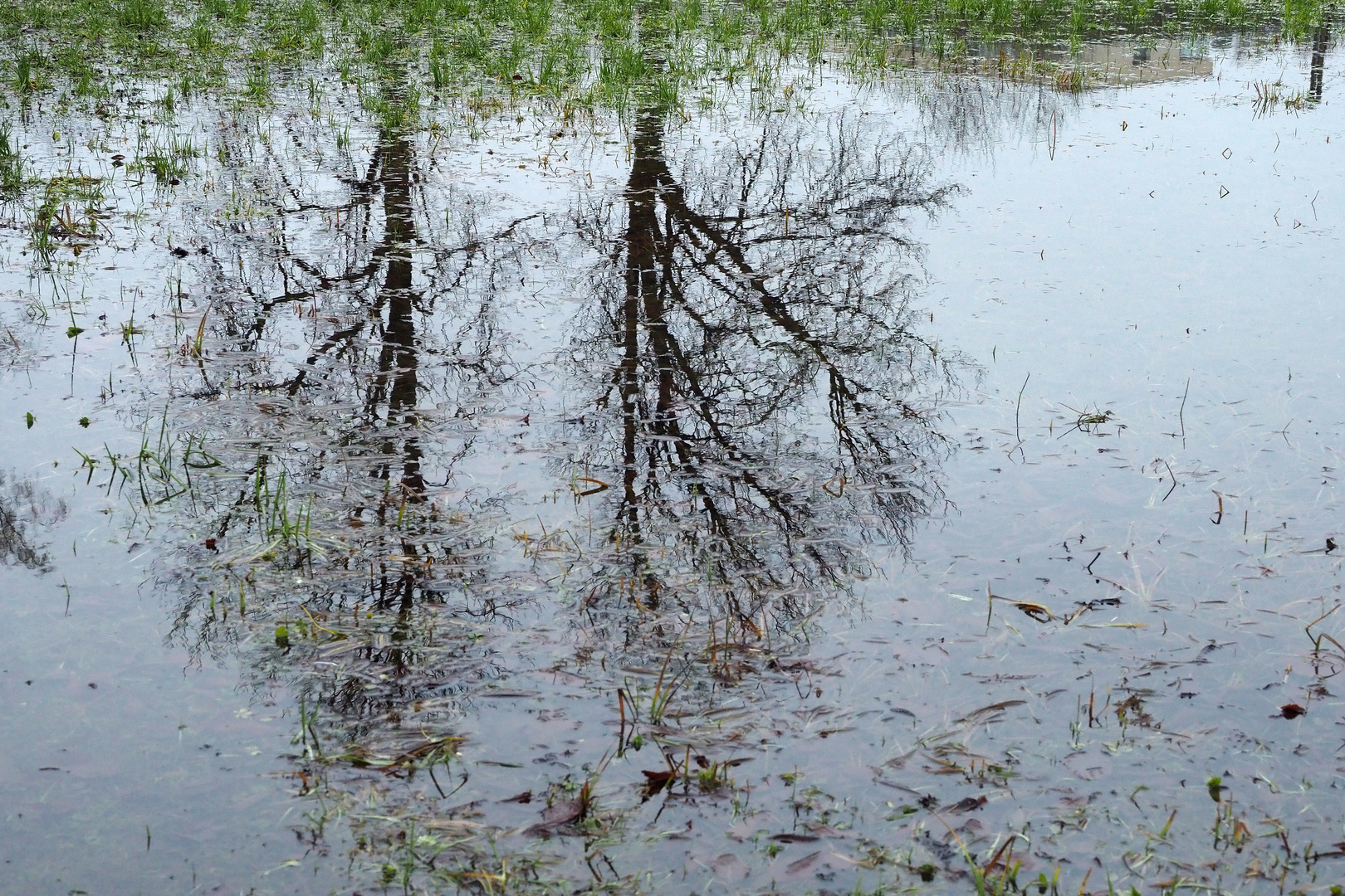 twins zum spiegeltag