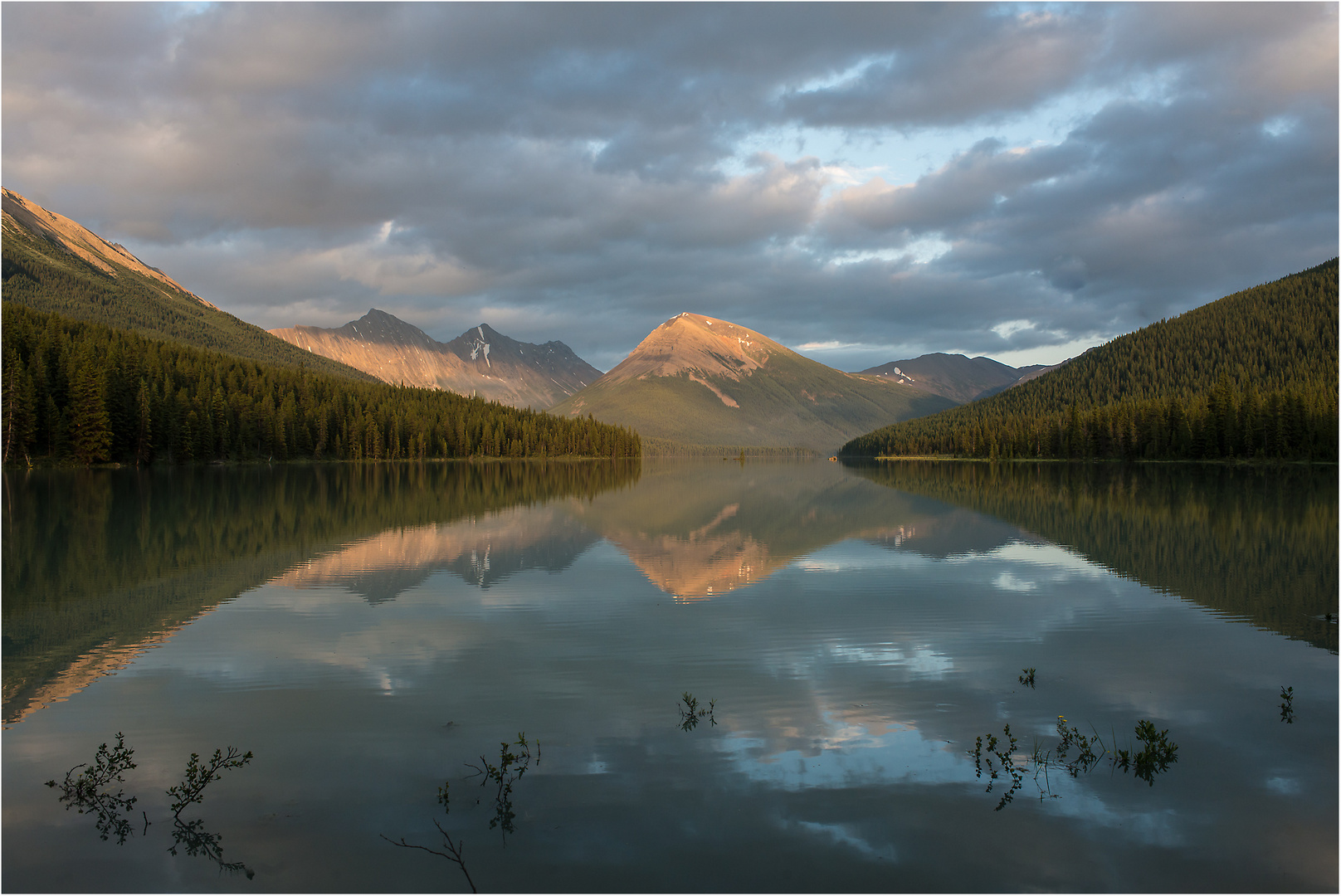 twintree lake