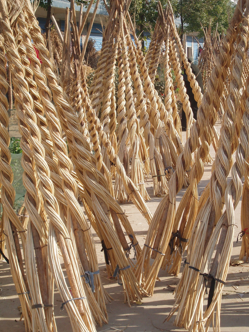 Twisted Willow Maze