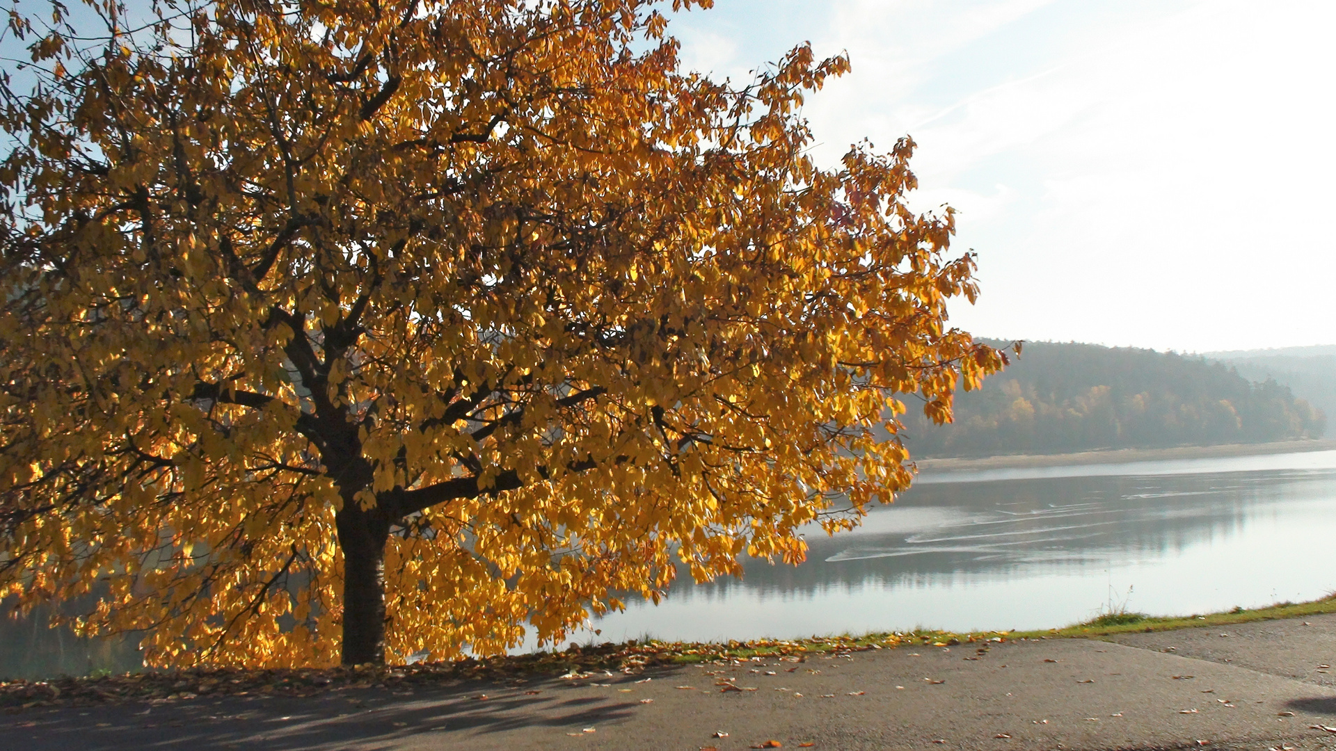 Twistesee November