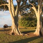 Two at an Australian sunset