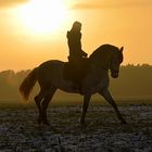 Two beauties in sundown