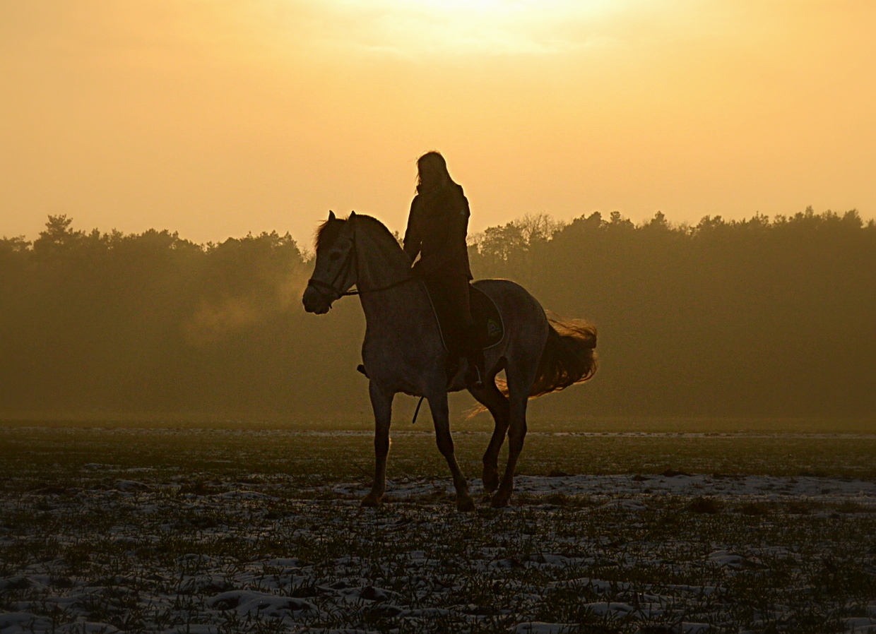 * Two beauties in sundown * ll