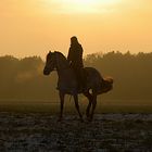 * Two beauties in sundown * ll