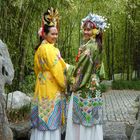 Two beautiful Ladys in the Chinese Garden of Sydney