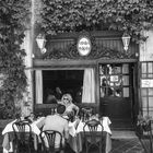 Two Couples at Osteria Margutta in Rome