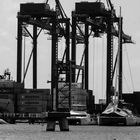 Two Cranes And a Bird, Cartagena, Colombia, 2020 (4x3)