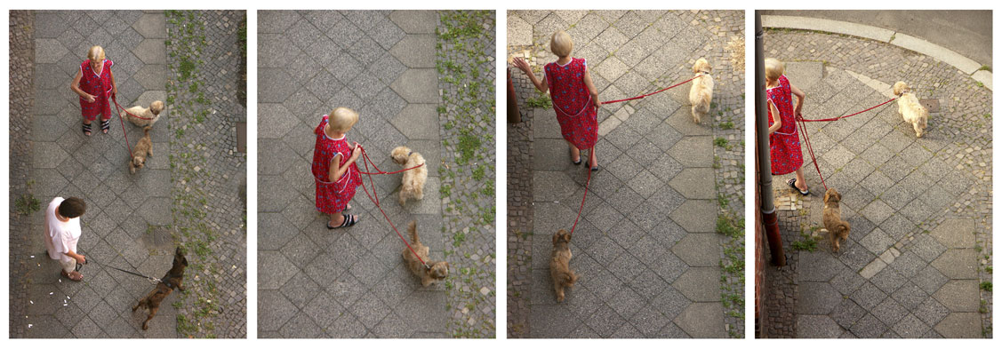 two dogs and a grandma