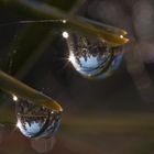 Two Drops