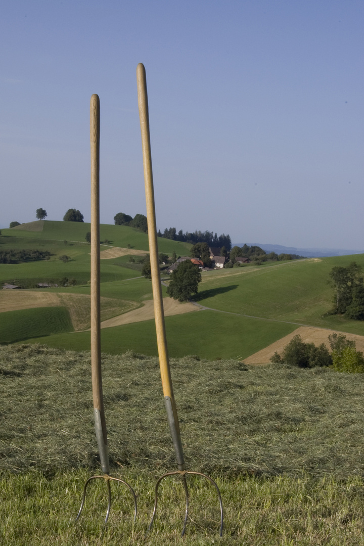 two forks on a hill