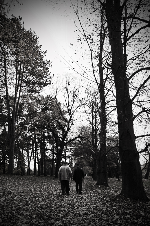 two friends in autumn of their lives