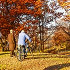 Two friends in central park