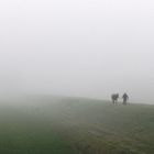 two friends in the fog