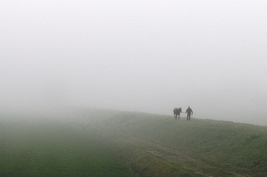 two friends in the fog