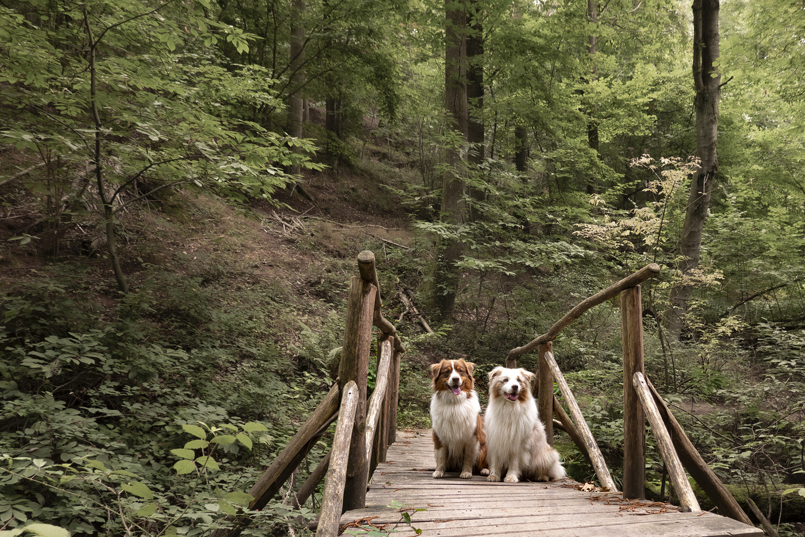 Two Friends on the Bridge