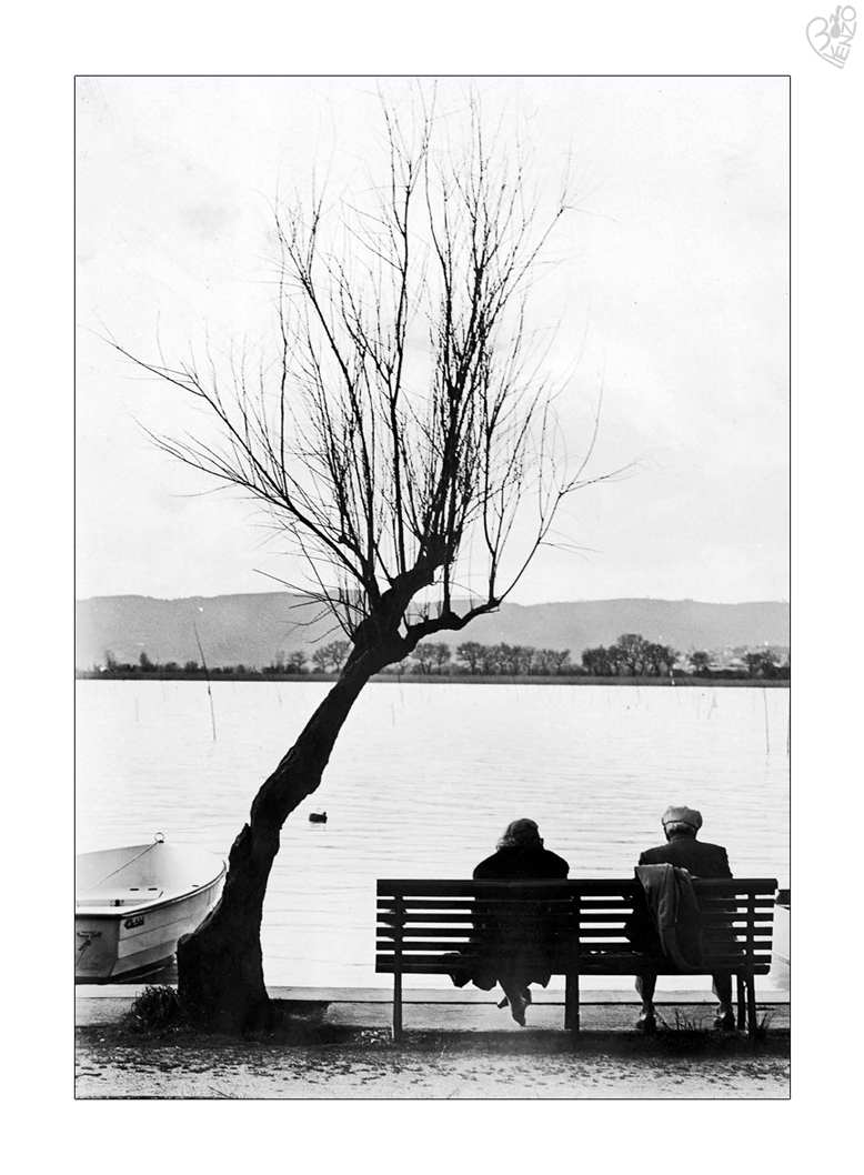 Two in front of the lake