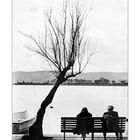 Two in front of the lake
