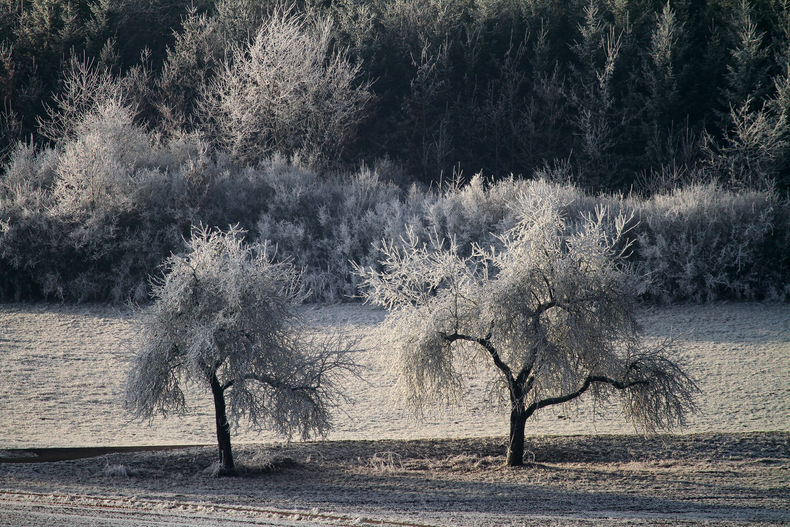 two in ice