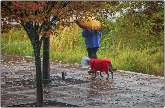 Two In Rain 