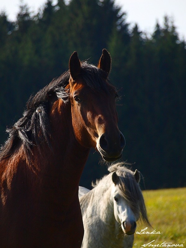 two in the frame