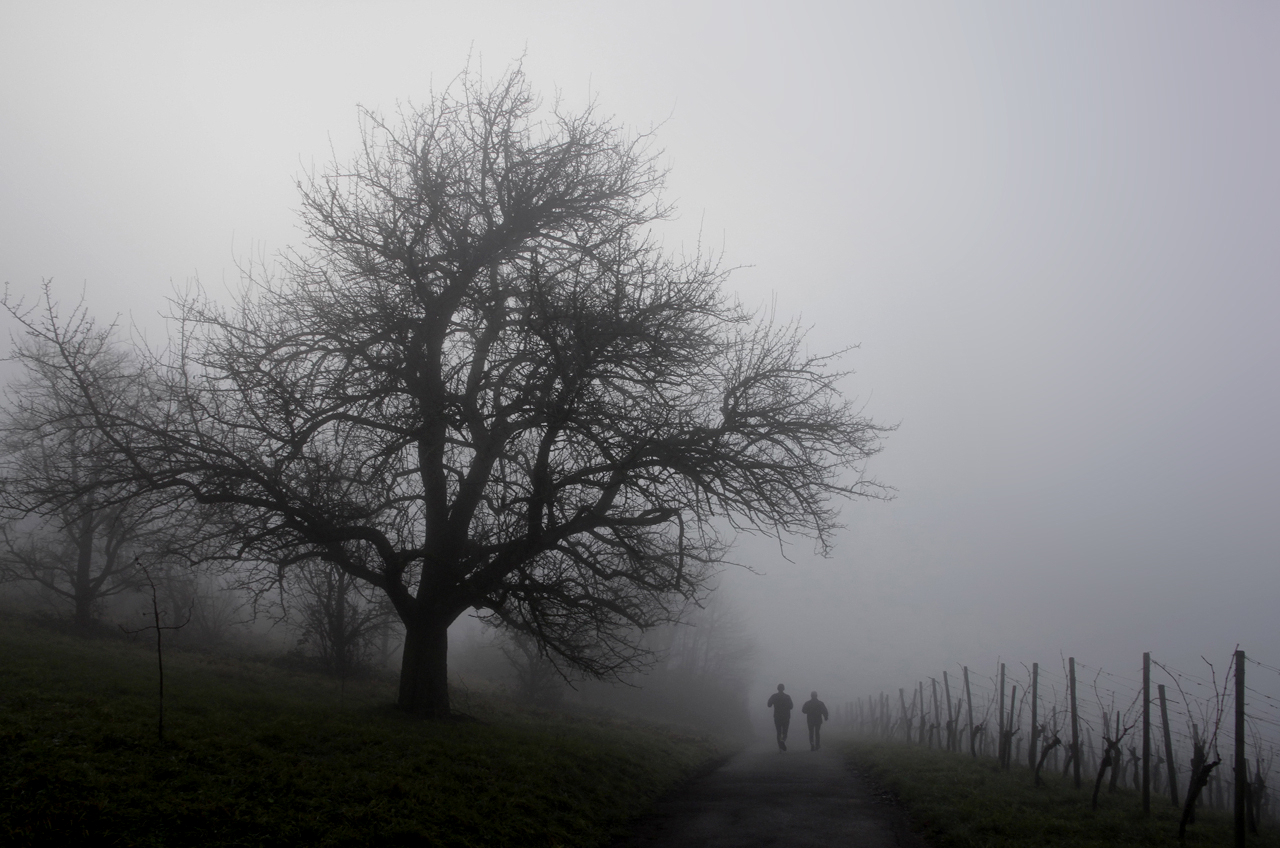 Two joggers in the morning mist 5610k