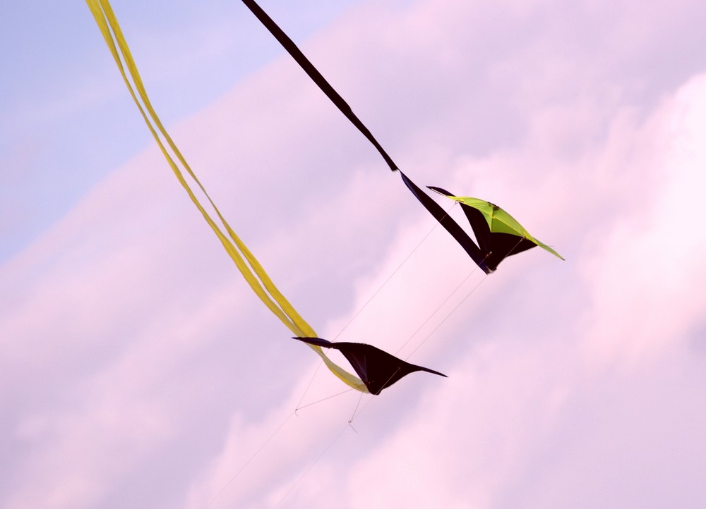 two kites