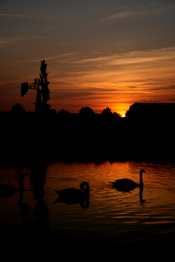 Two lonley hearts in the sun von Panorama pictures | DUNI | 