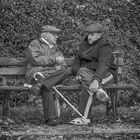 Two Men, Bench And Cane